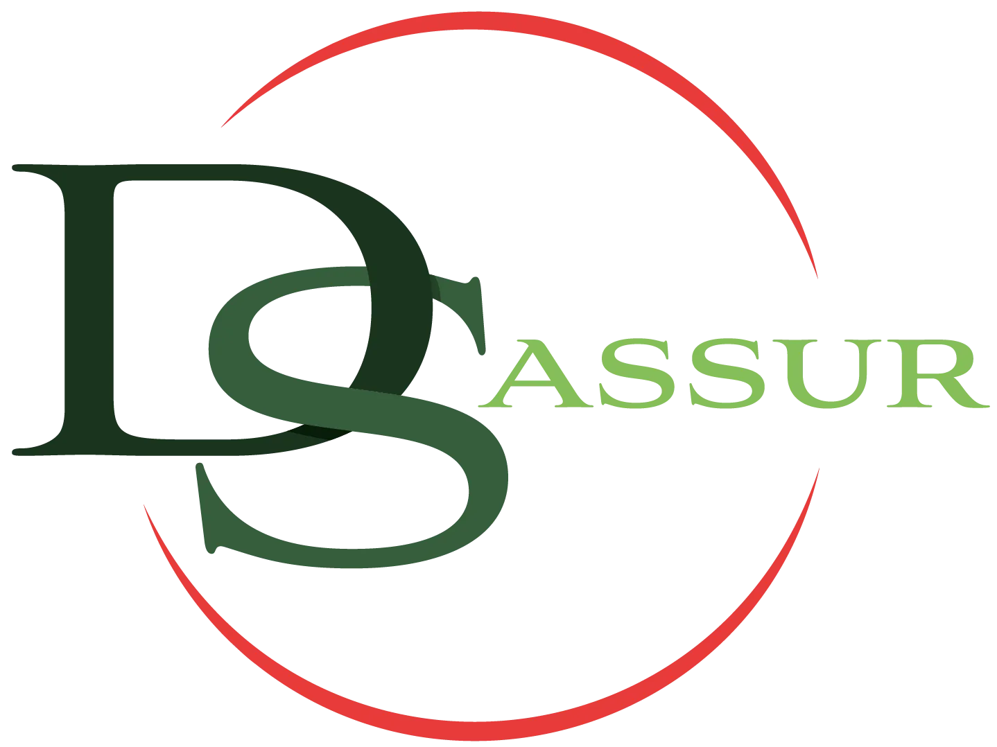 Création de site internet DS Assur — client Dwenola